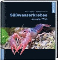 bokomslag Süßwasserkrebse aus aller Welt