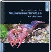 Süßwasserkrebse aus aller Welt 1