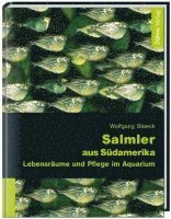 bokomslag Salmler aus Südamerika