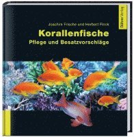 bokomslag Korallenfische