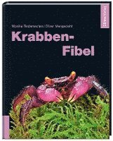 bokomslag Krabben-Fibel