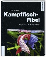 bokomslag Kampffisch-Fibel