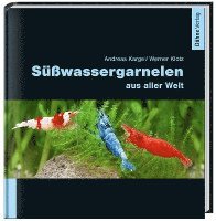 bokomslag Süßwassergarnelen aus aller Welt