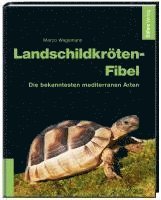bokomslag Landschildkröten-Fibel