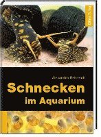 bokomslag Schnecken im Aquarium
