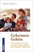 bokomslag Geheimnis Gehirn