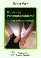 bokomslag Gutartige Prostataprobleme - Hilfe durch Osteopathie