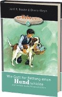 bokomslag Wie Gott zur Rettung einen Hund schickte