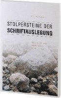 bokomslag Stolpersteine der Schriftauslegung