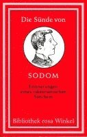 Wolfram Setz - Die Sünde von Sodom, Häftad