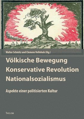 Walter Schmitz, Clemens Vollnhals - Völkische Bewegung - Konservative Revolution - Nationalsozialismus, Häftad
