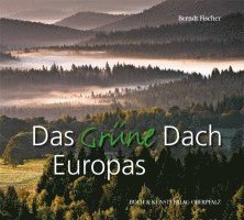 bokomslag Das grüne Dach