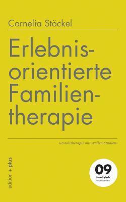 bokomslag Erlebnisorientierte Familientherapie