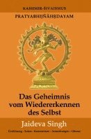 bokomslag Das Geheimnis vom Wiedererkennen des Selbst