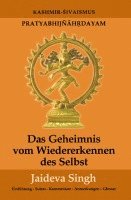 bokomslag Das Geheimnis vom Wiedererkennen des Selbst