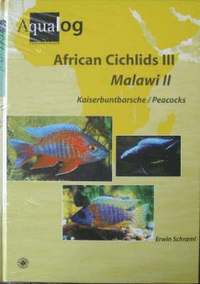 bokomslag Aqualog African Cichlids III, Malawi II - Peacocks