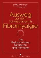 bokomslag Ausweg aus dem Schmerzlabyrinth Fibromyalgie
