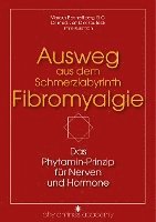 bokomslag Ausweg aus dem Schmerzlabyrinth Fibromyalgie