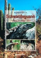 Schwarzleguane 1