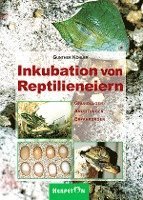 bokomslag Inkubation von Reptilieneiern
