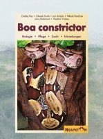 Boa constrictor