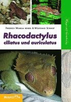 Friedrich-Wilhelm Henkel, Wolfgang Schmidt - Rhacodactylus ciliatus und auriculatus, Häftad