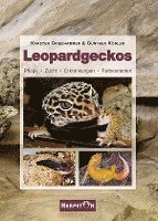 bokomslag Leopardgeckos