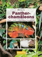 bokomslag Pantherchamäleons