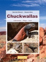 bokomslag Chuckwallas