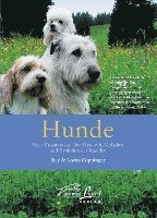 bokomslag Hunde