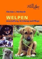 Welpen