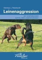 bokomslag Leinenaggression