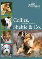 bokomslag Collies, Sheltie & Co.
