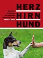 bokomslag Herz, Hirn, Hund