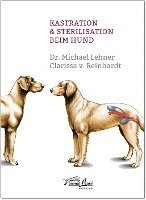 bokomslag Kastration & Sterilisation beim Hund