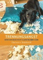 Clarissa von Reinhardt - Trennungsangst, Inbunden