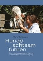 bokomslag Hunde achtsam führen