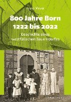 bokomslag 800 Jahre Born 1222 bis 2022