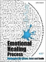bokomslag Emotional Healing Process