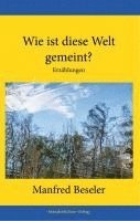 bokomslag Wie ist diese Welt gemeint?