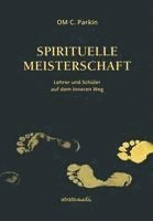 bokomslag Spirituelle Meisterschaft