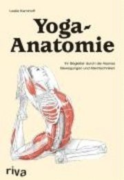 Yoga-Anatomie 1
