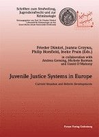 bokomslag Juvenile Justice Systems in Europe