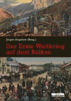 bokomslag Der Erste Weltkrieg auf dem Balkan