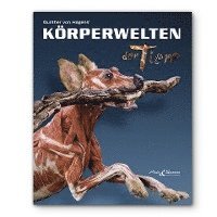 bokomslag KÖRPERWELTEN der Tiere