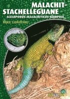 bokomslag Malachit-Stachelleguane