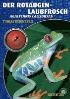 Tobias Eisenberg - Der Rotaugenlaubfrosch, Häftad