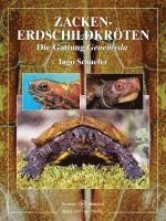 bokomslag Zacken-Erdschildkröten