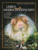 bokomslag Leben mit Meerschweinchen