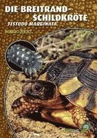 Die Breitrandschildkröte